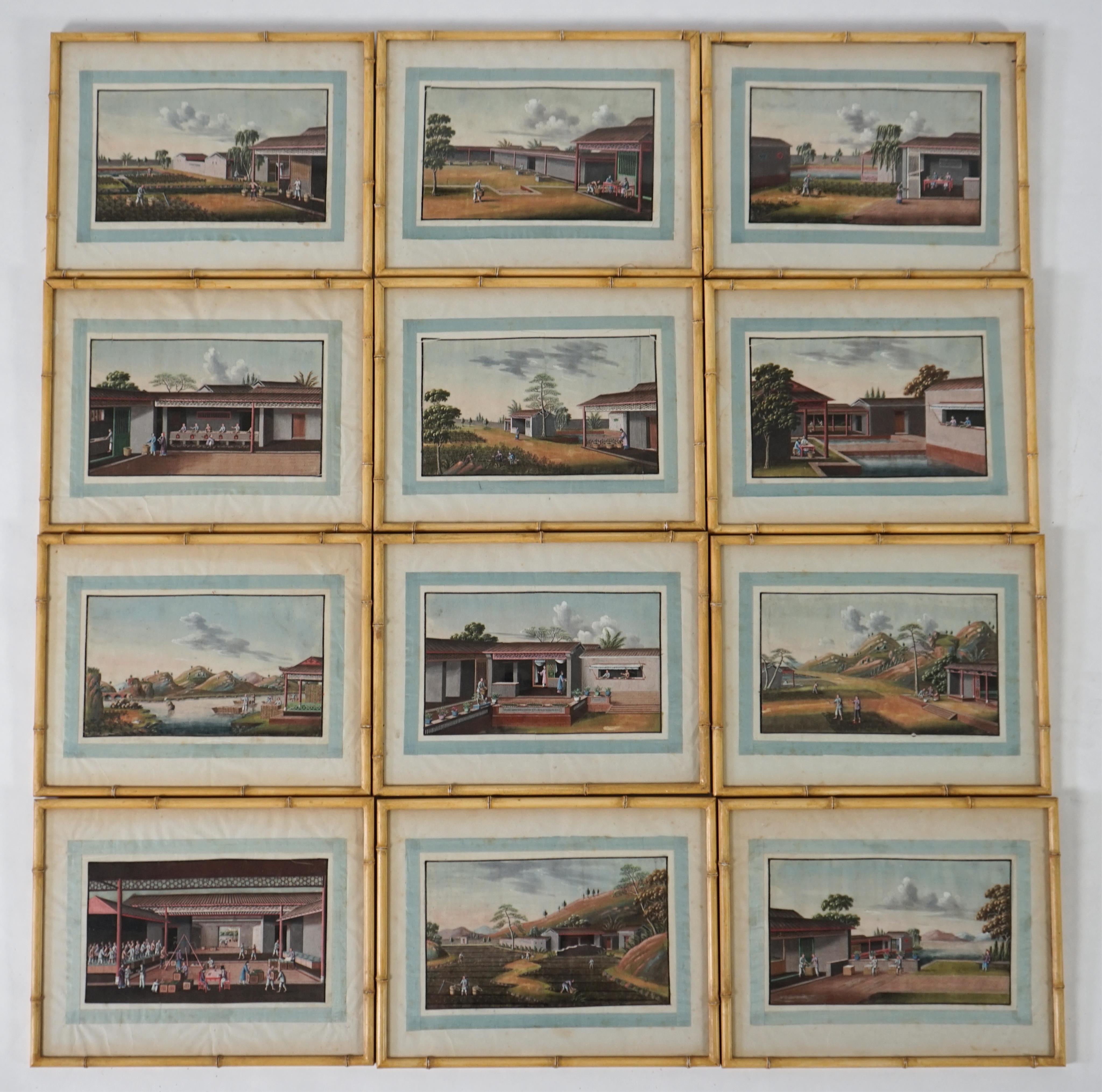 A set of twelve Chinese gouache paintings on pith paper of tea production, circle of Tingqua c.1840